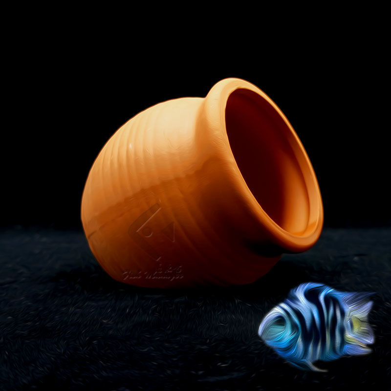 Aquarium Mini Ceramic Tank Fis - Tagine Clay Pot review and price