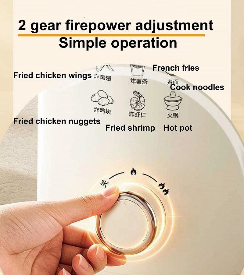 Electric Fryer Non-stick Frenc - Home Cooking In French review and price